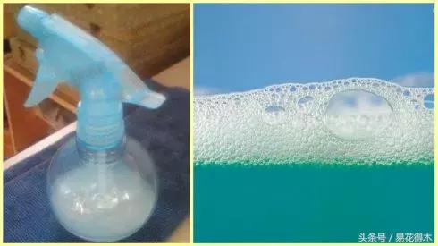 春季花草怎么防飞虫,春季怎么去花的小飞虫