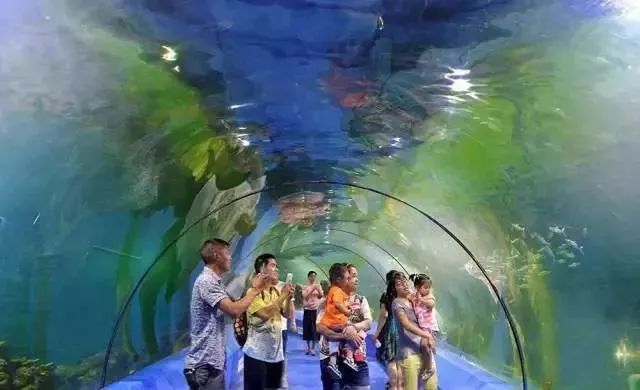 重庆五一假期亲子去哪玩,重庆假期亲子游玩推荐