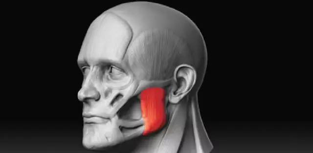 瘦脸针可怕之处,瘦脸针真的可怕吗