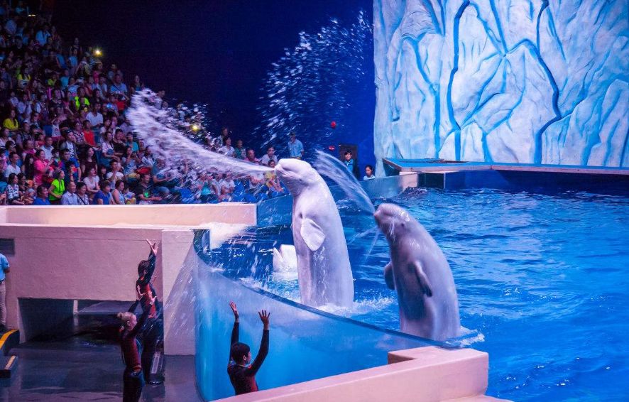 珠海海洋公园项目,2022年珠海国家战略填海工程