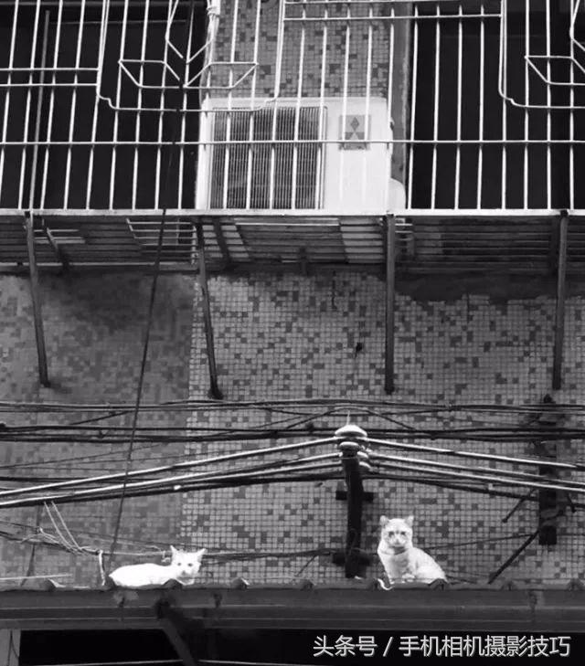 为什么我手机拍照老是改善画质,手机拍照放大就模糊