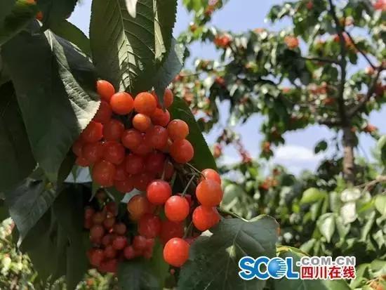 五一小长假尽情撒欢,2021五一川内游推荐