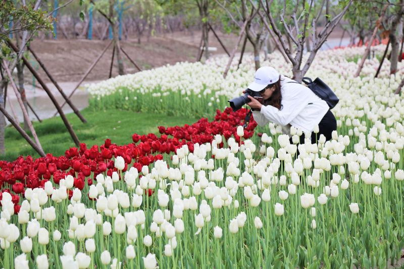 南通旅游攻略必去景点排名,南通紫琅湖公园五一有没有灯光秀