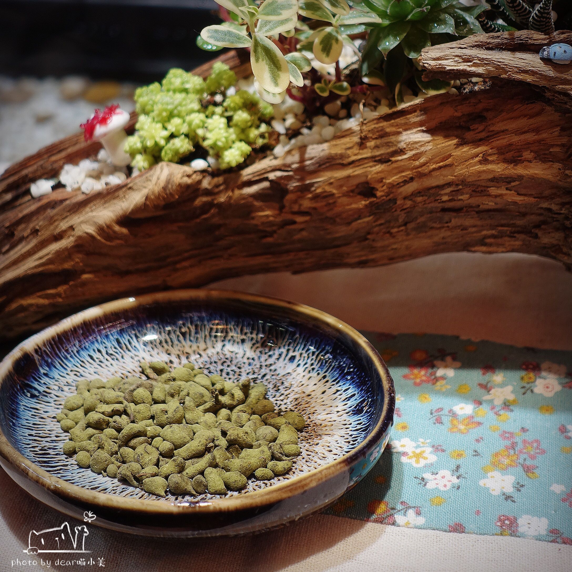 在曾厝垵第一家茶馆，我喝到了最好喝的豆浆茶