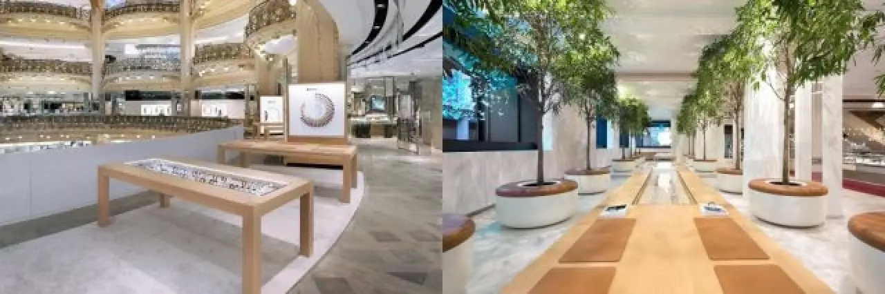 鑻规灉鐧捐揣鍏徃,鑻规灉鐧捐揣鏈夐檺鍏徃