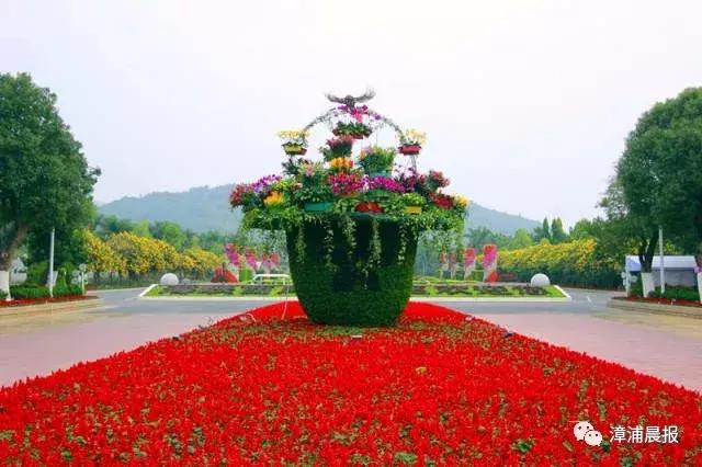 漳浦县牛,凭什么你那么牛原版