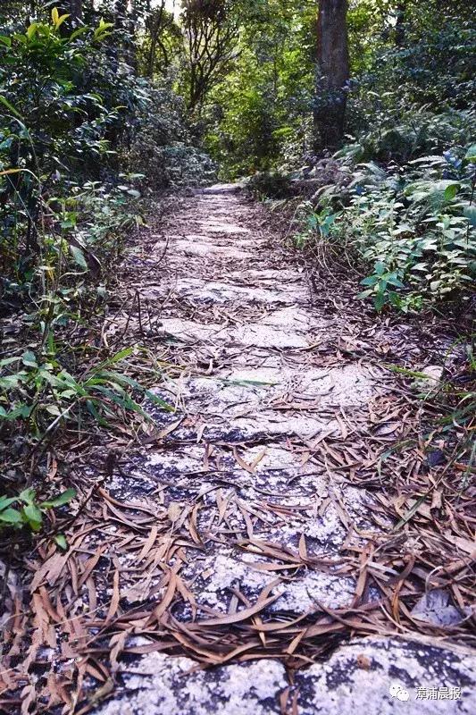 漳浦县牛,凭什么你那么牛原版