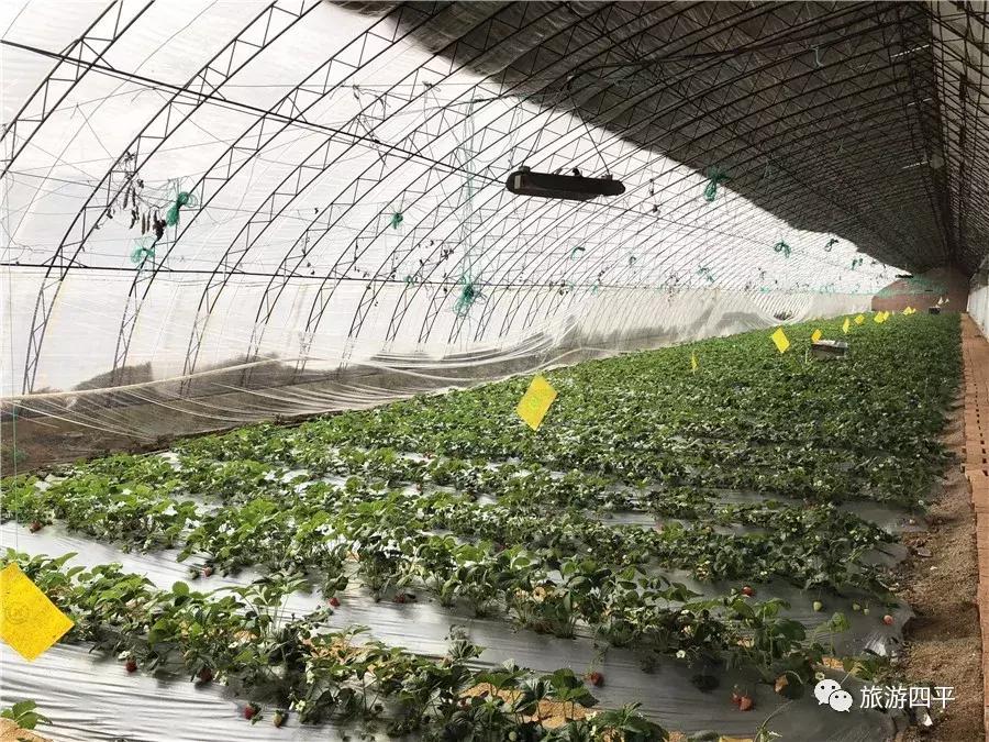 四平五一假期旅游攻略,五一四平攻略