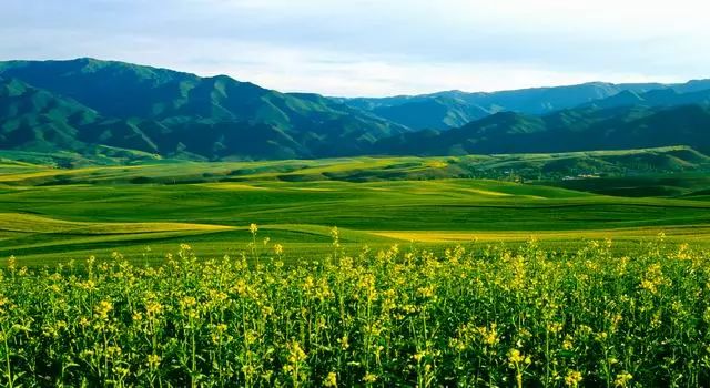 五一游玩小短文一年级,五一游玩的小短文50字