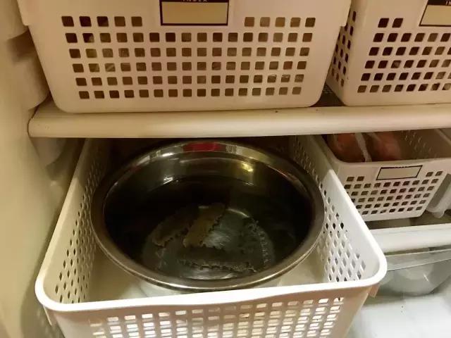 泡发好的海参还用处理吗,泡发过6次的海参后面怎么处理