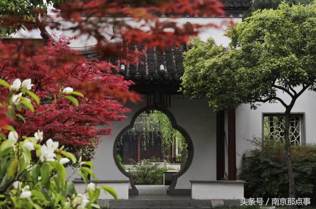 适合南京一日游的三十项免费景点,南京值得打卡的小众景点