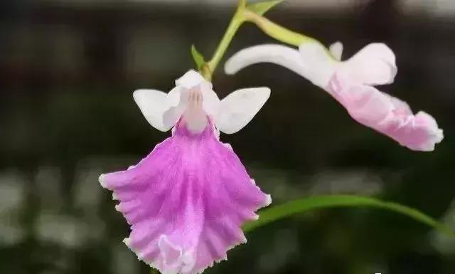 五一聚会的图片可保存,五一微信群图片