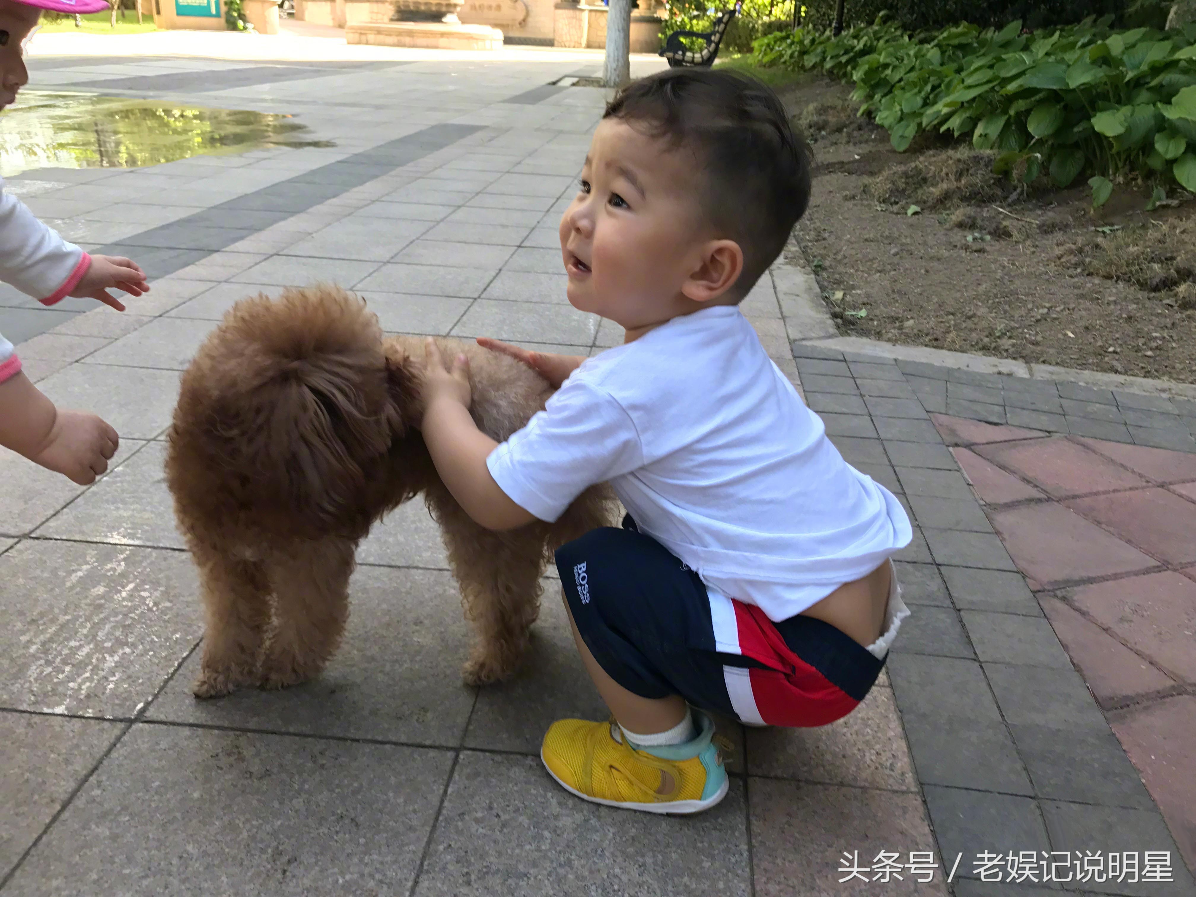 陆川有过一段婚姻,陆川婚姻