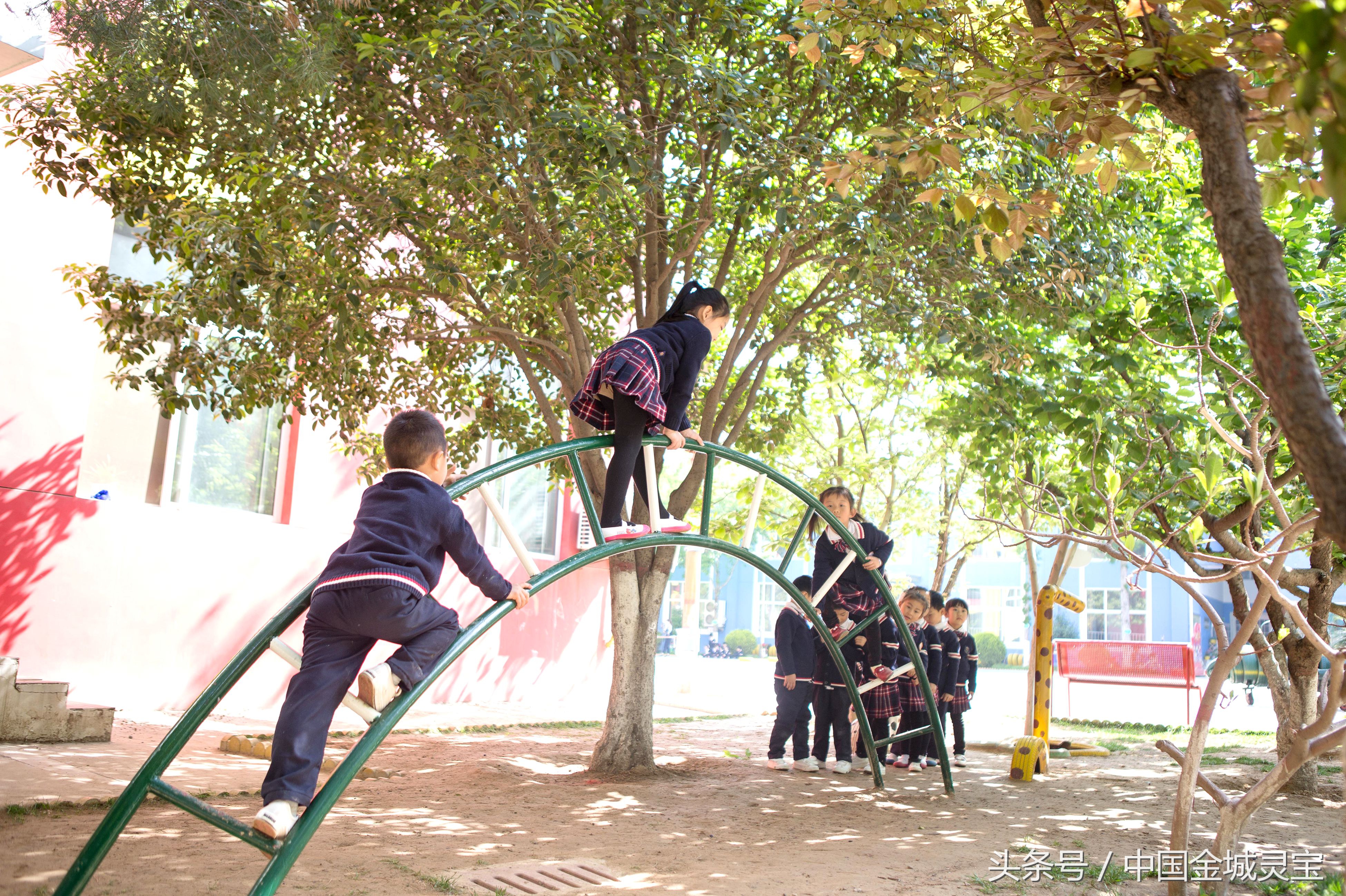 灵宝金蕾幼儿园体能训练,灵宝市金蕾幼儿园简介