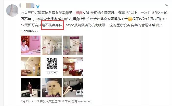 20岁女大学生捐卵事件18年,女大学生捐卵致富