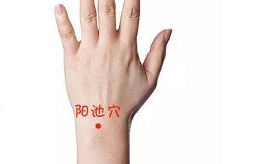 艾灸真的能减肥,减肥艾灸哪个部位减肥最快