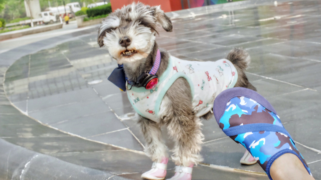 弹力鞋测评,超轻透气弹力鞋