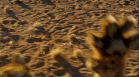 假期一定要给孩子看的20部纪录片,12部适合和孩子一起看的纪录片