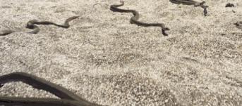 假期一定要给孩子看的20部纪录片,12部适合和孩子一起看的纪录片