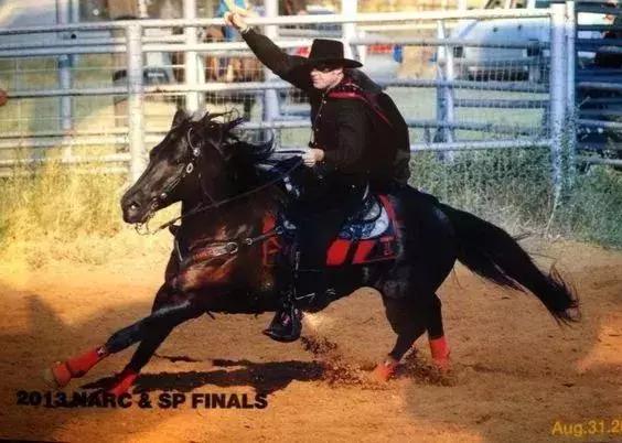 蒙面骑马骑士视频,蒙面骑士闯进将军宴会视频