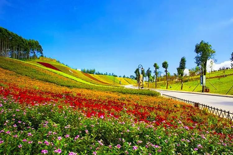 离厦门200公里的城市,离厦门十来分钟的小城