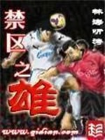 我们都有一个足球梦,足球幻想小说