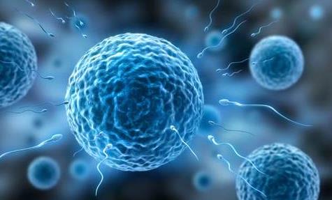 送走了“大姨妈”又迎来了“小姨妈”？！排卵期出血怎么破？