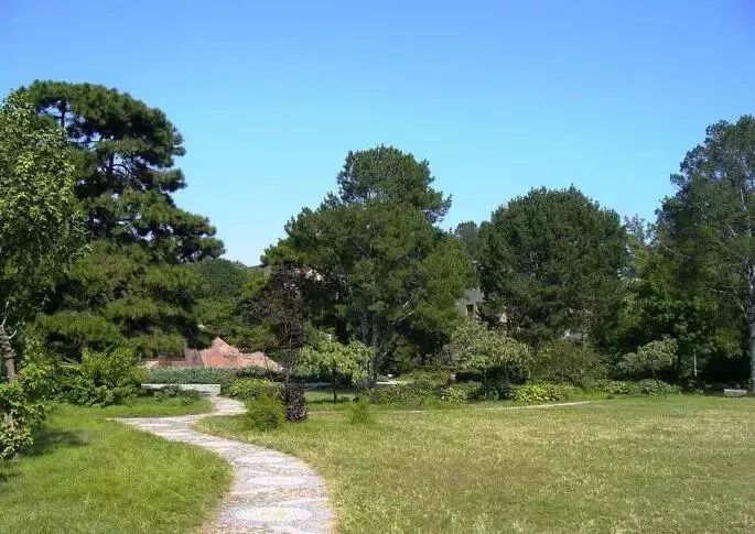 北大生日快乐 (北大生日会)