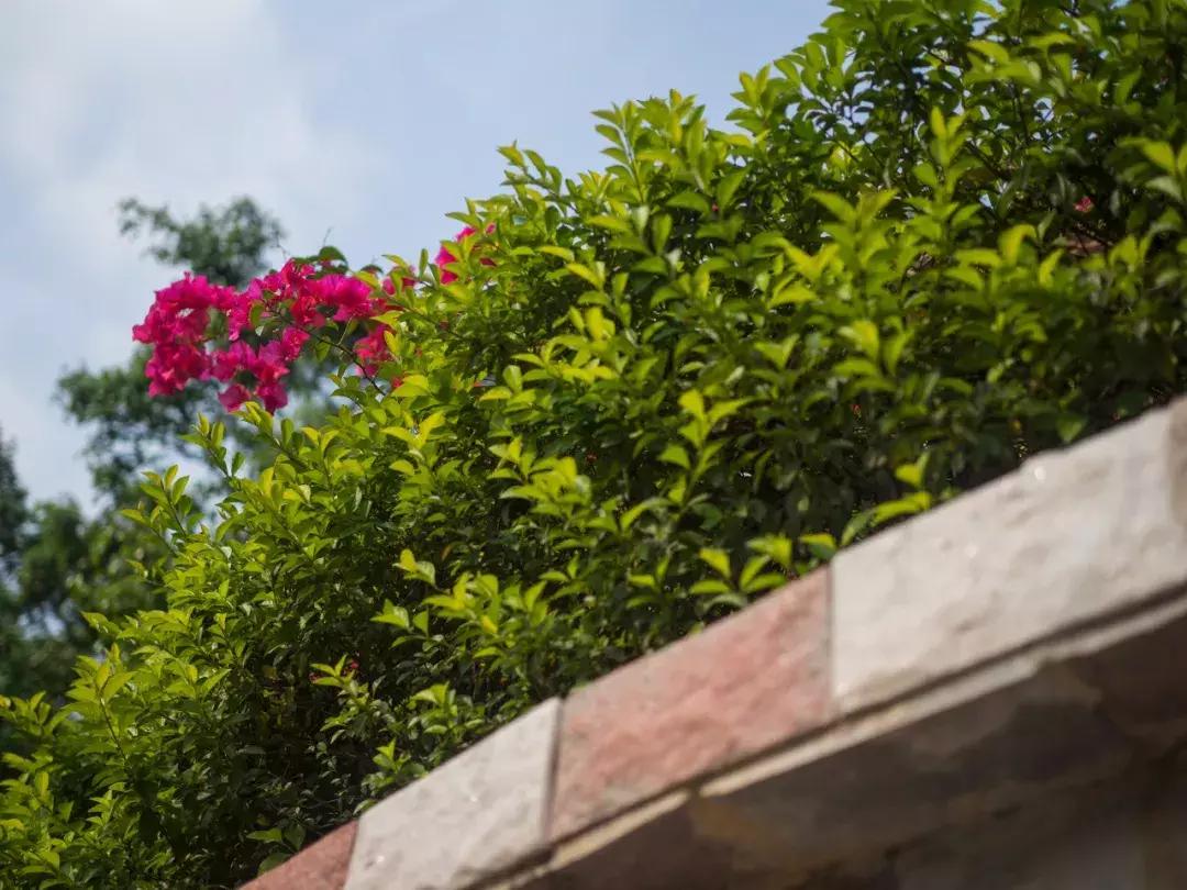 奥林巴斯epl9什么时候发布的,用颜值说话奥林巴斯e-pl9评测