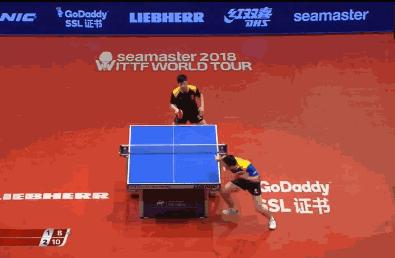 资深球迷深度解析,乒乓球打球解析