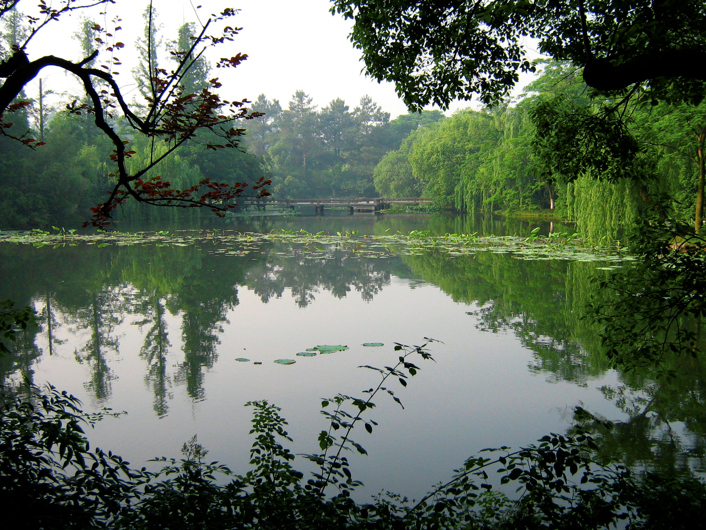 一个四川人的旅行,杭州西湖印象怎么样