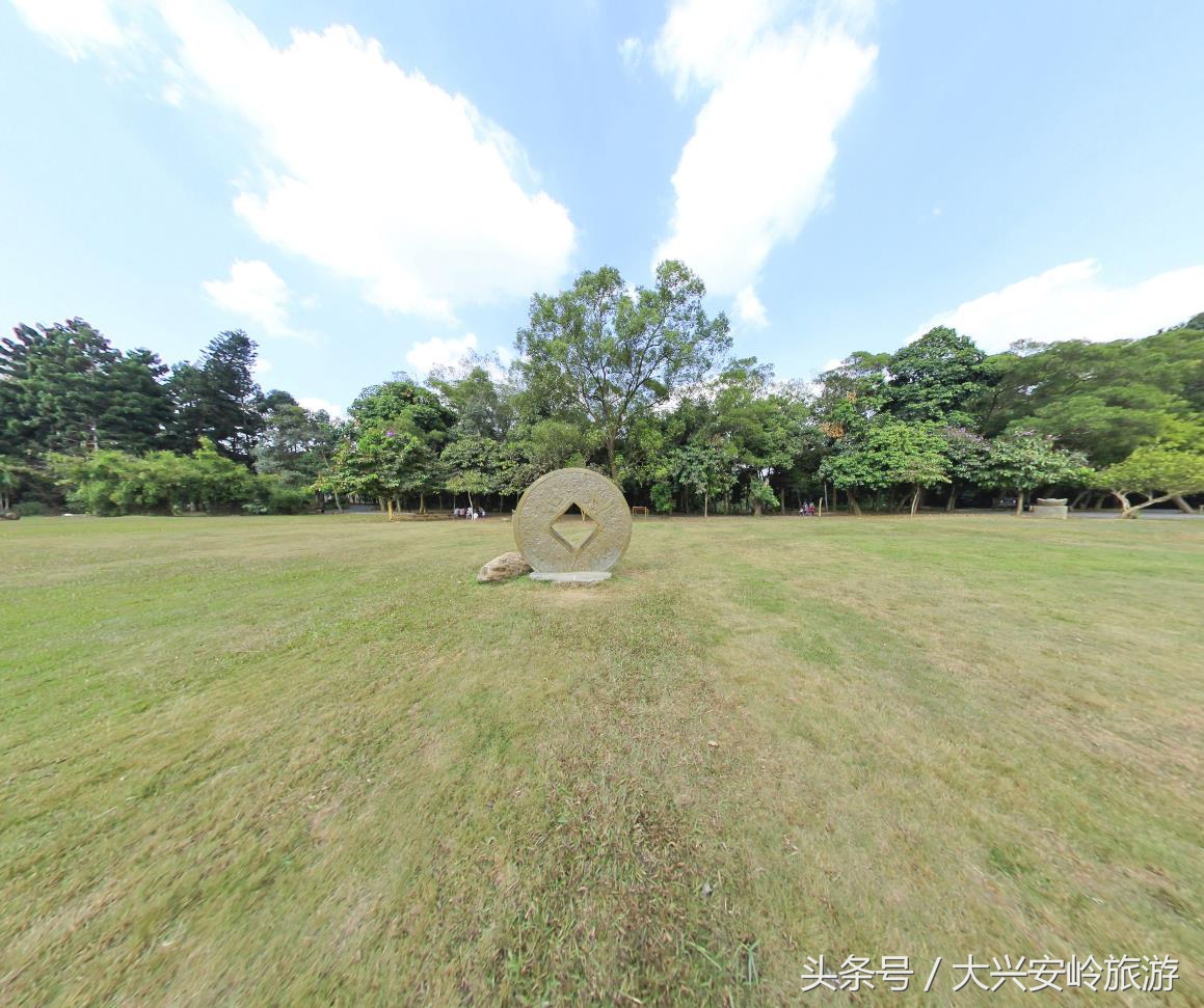 南宁良凤江国家森林公园菩提树,南宁青秀山风景区天然氧吧