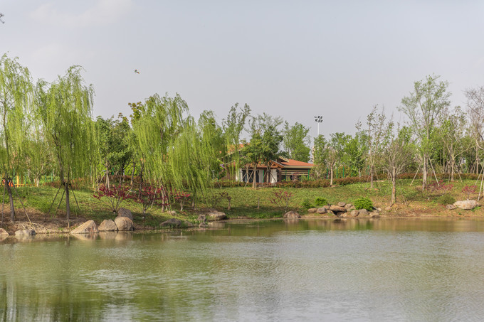 滁州花博园秋景,秋天滁州花博园图片