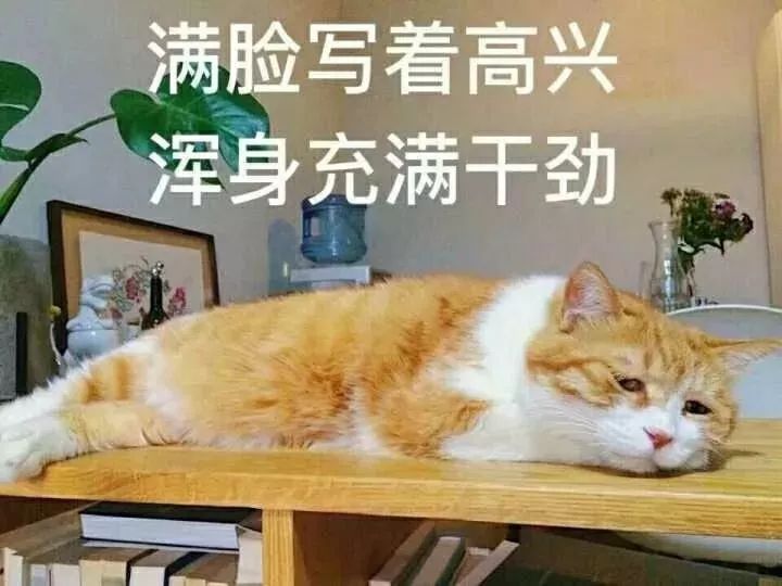 五一朝天旅游,踏青出游五一小长假怎么玩