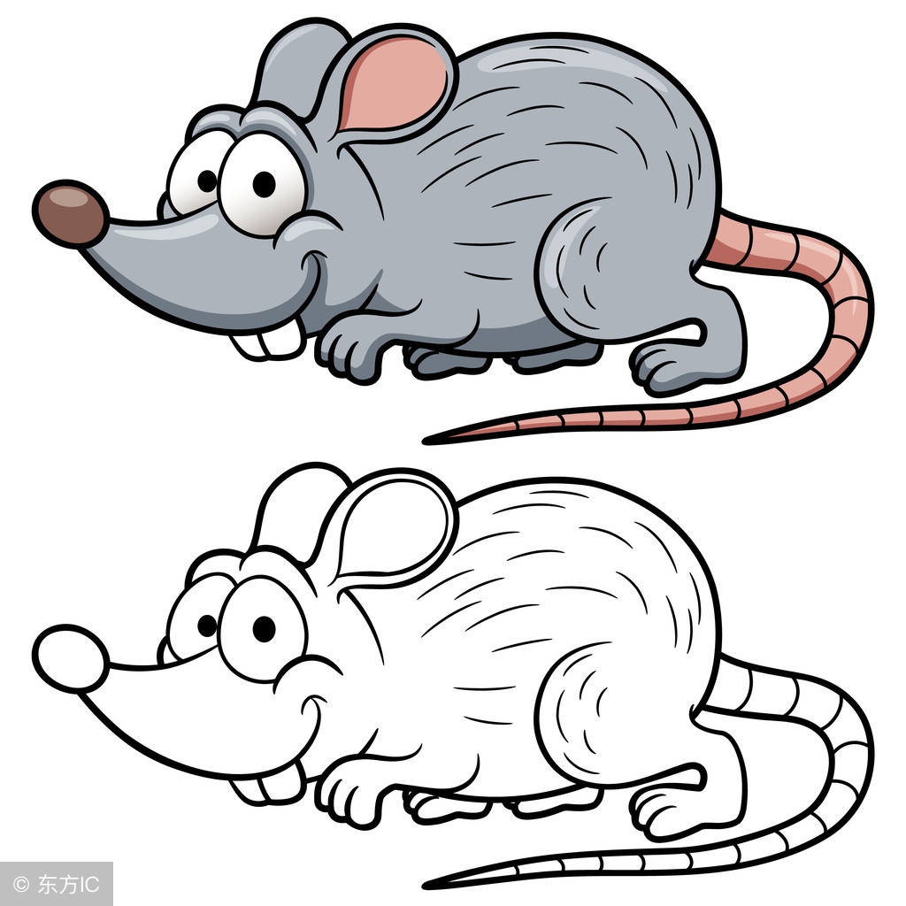 属鼠的人几月生最好,这个月属鼠的运势