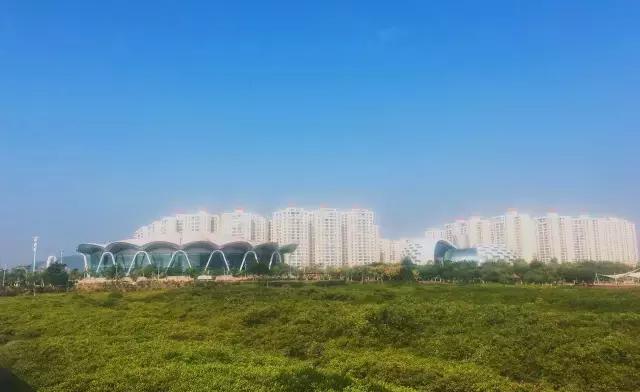 广西有个海岛,广西到底藏着多少宝藏秘境