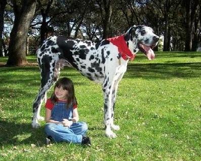 包君成小学语文作文范文,小学语文作文范文摘抄通用70篇