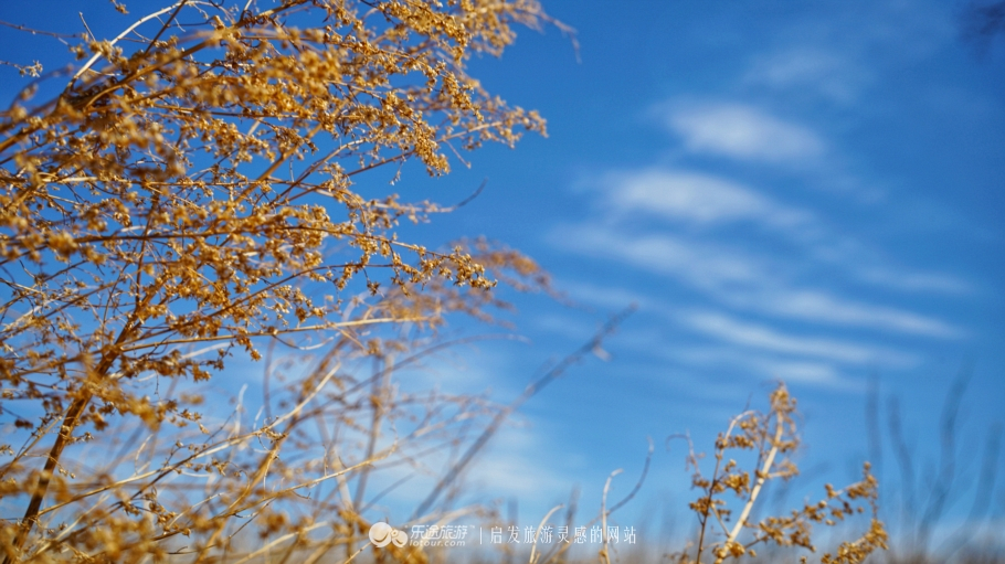 朴树冷门却很好听的歌,朴树适合西藏的歌