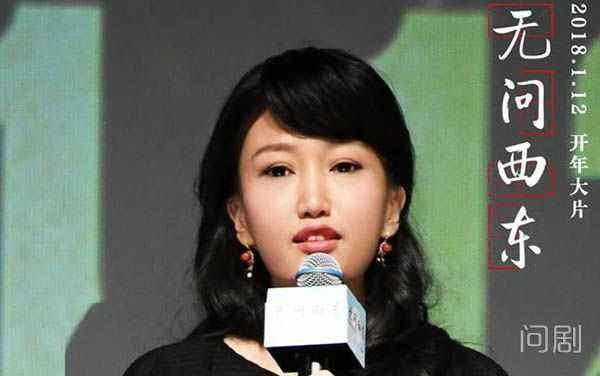 刘若英四大天王,刘若英超详细资料