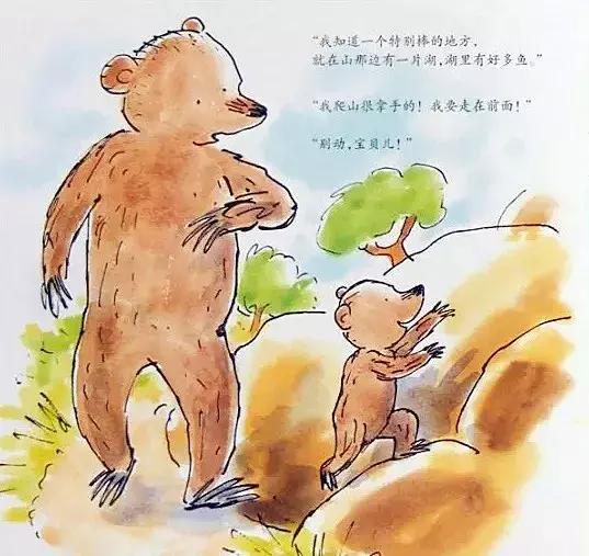 小熊和最好的爸爸长大了读后感,小熊和最好的爸爸一起长大了
