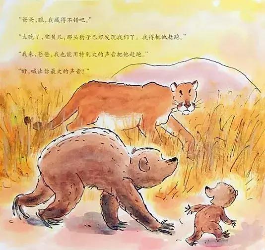 小熊和最好的爸爸长大了读后感,小熊和最好的爸爸一起长大了