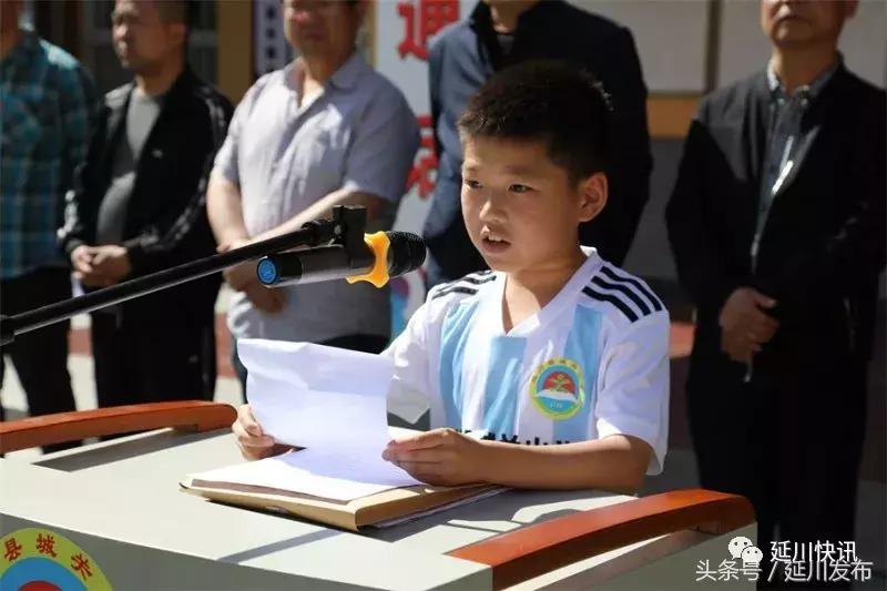 绿茵少年足球联赛,绿茵场上的足球少年