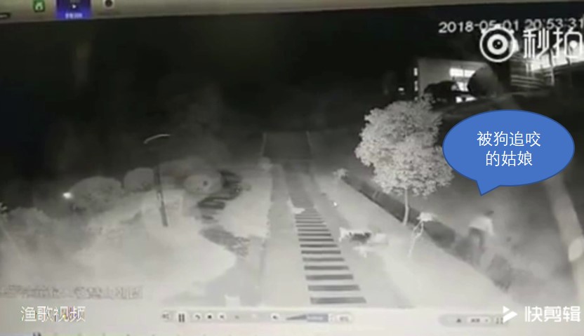 恶狗追咬有什么办法对付,梦到被恶狗追咬怎么回事