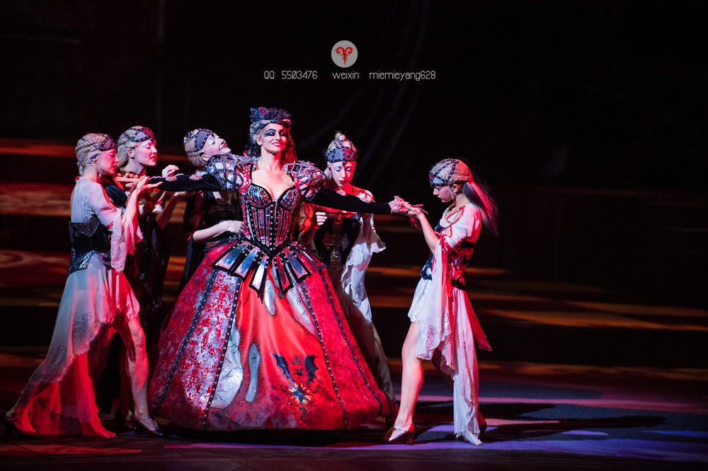 澳门打造世界最大水舞间,澳门水世界表演