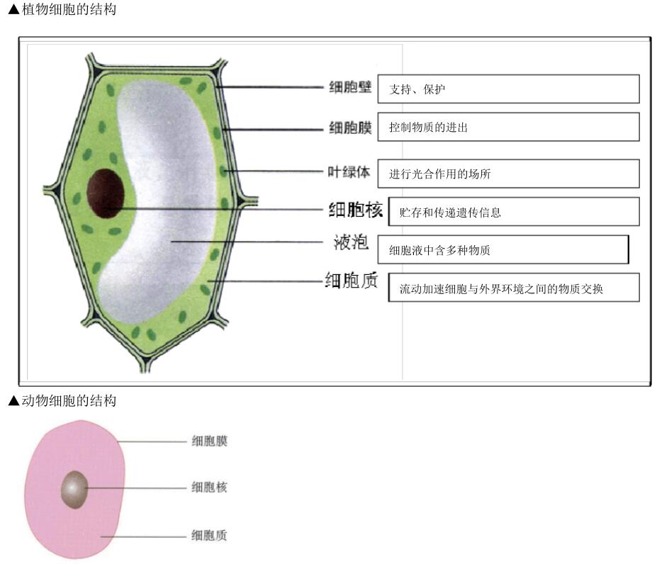 北师大版生物中考必背知识点,苏教版生物中考知识点总结填空版