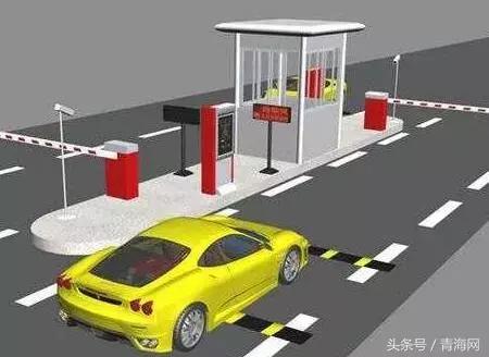 青海西宁蔬菜最近的价格,西宁水果蔬菜价格表4月