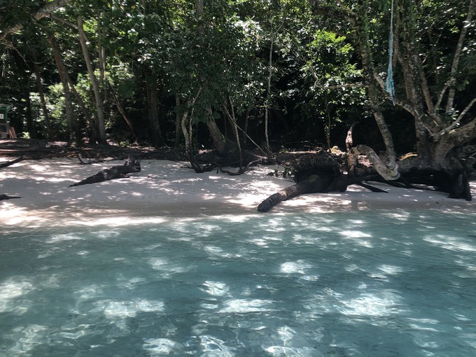 帕劳的海景风光给人美的享受,帕劳的海洋和沙滩风景图片