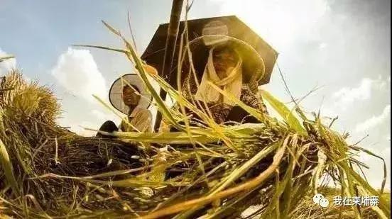 柬埔寨市场的新变化,柬埔寨目前有哪些商机