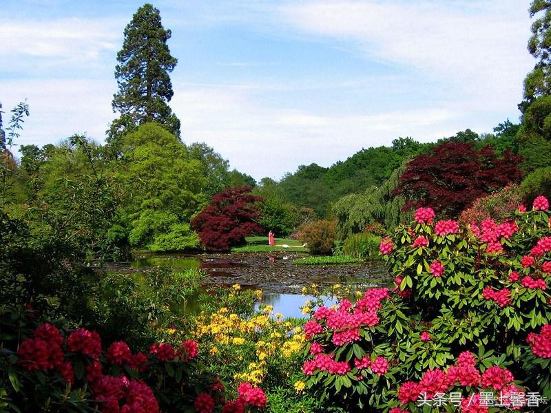 怡人的景色视频,怡人的风景美景
