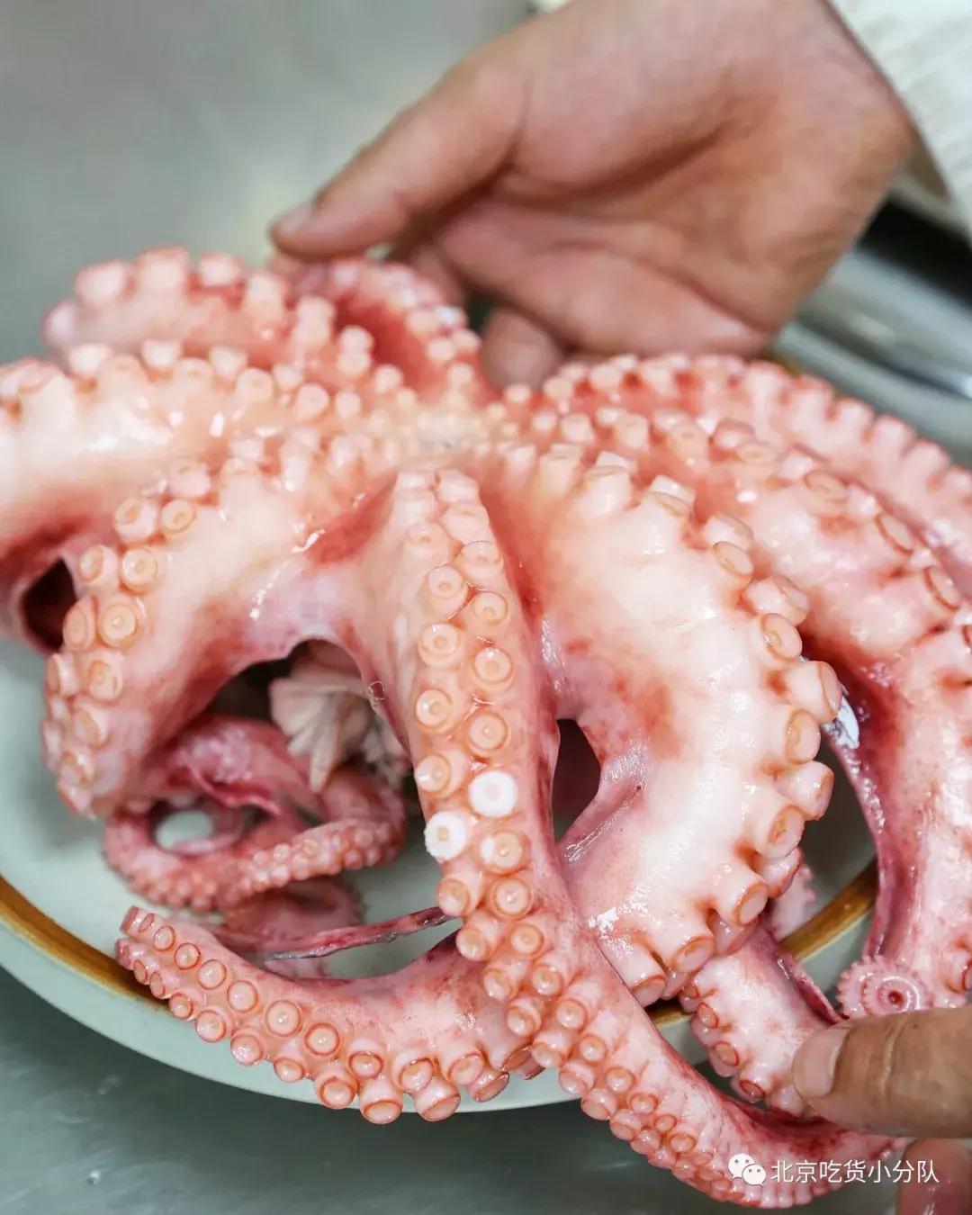 270开飞机回北京完整视频,270飞机环球旅行